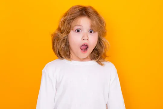 使用者查看註冊流程示意圖